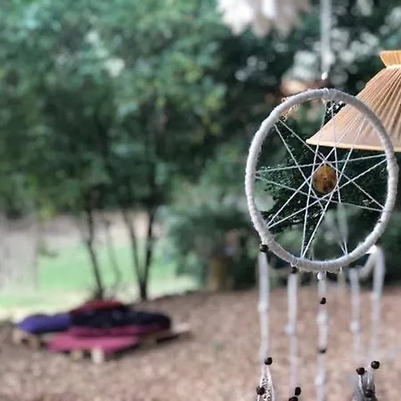 Into The Glamping - Oak