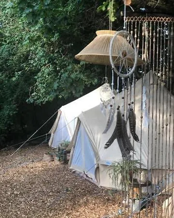 Into The Glamping - Oak