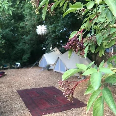 Into The Glamping - Oak Οργανωμένο κάμπινγκ Markt Nordheim